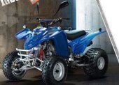 2010 Fokamo ATV 300 Interceptor photo